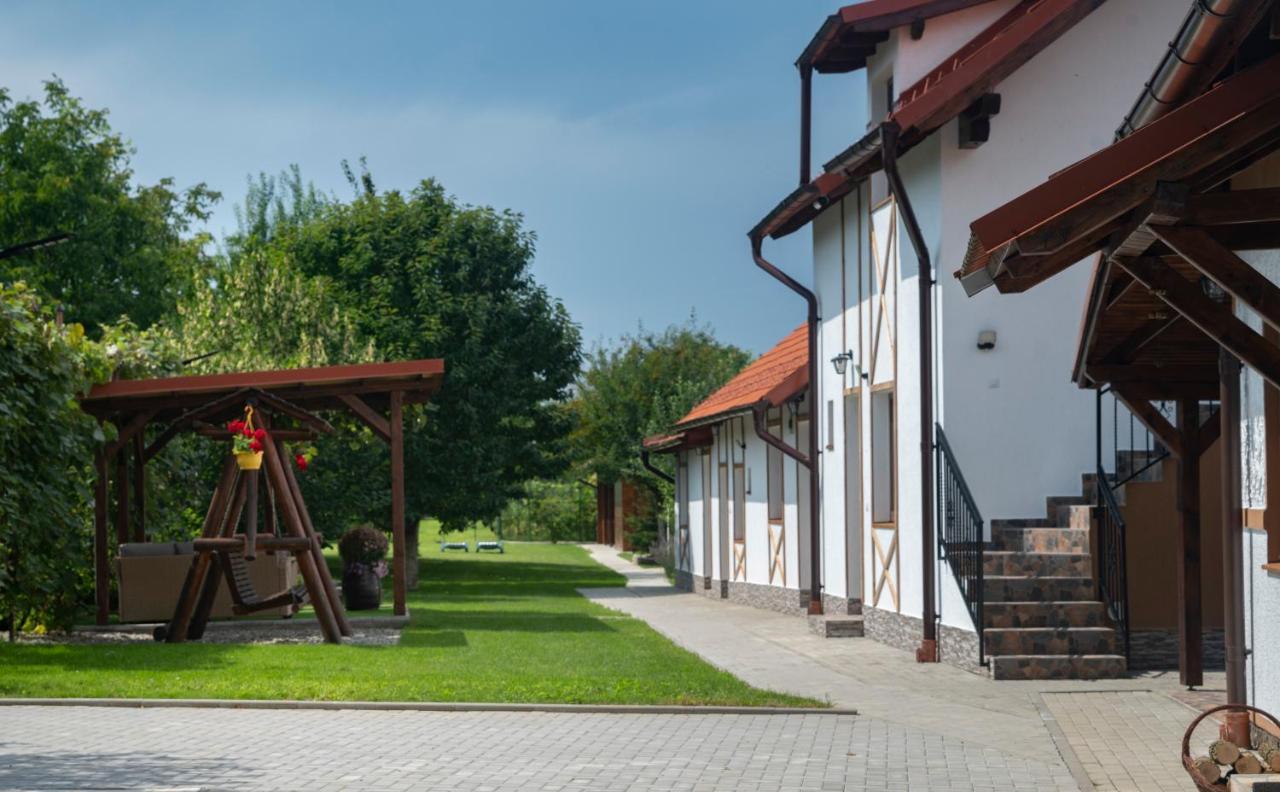 Magda Garden Hotel Cîrţişoara Exterior foto