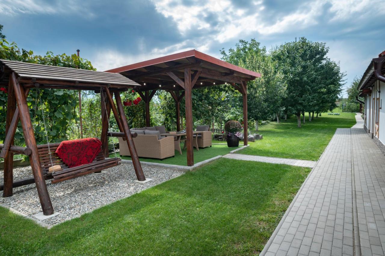 Magda Garden Hotel Cîrţişoara Exterior foto