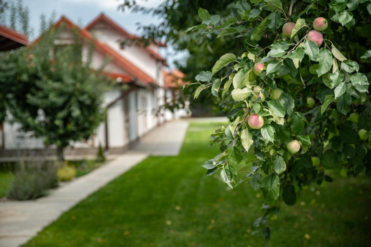 Magda Garden Hotel Cîrţişoara Exterior foto